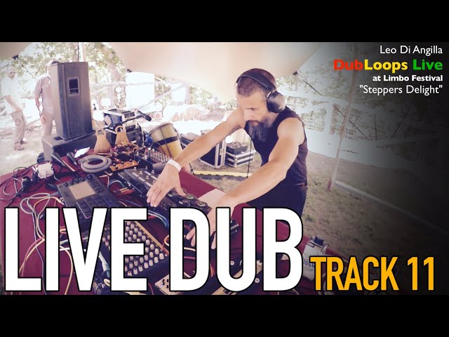 Live Dub Performance: Track 11 - Steppers Delight (Live)
