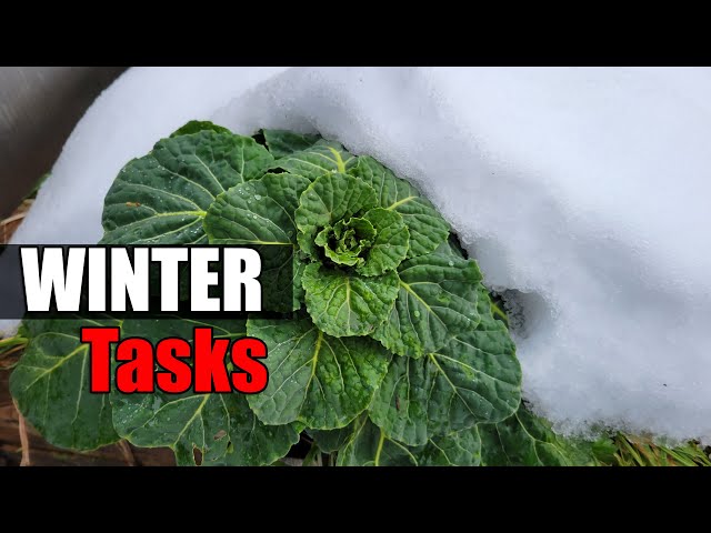 10 Winter Gardening Tasks - Garden Quickie Episode 35