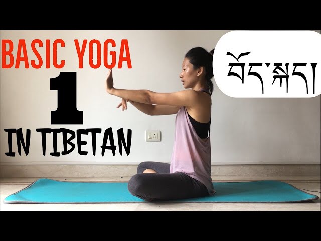 Basic yoga lesson 1 / སློབ་ཁྲིད་དང་པོ། mobility asana part1