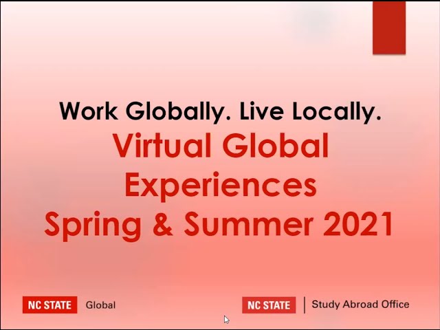 Virtual Global Internships information Session