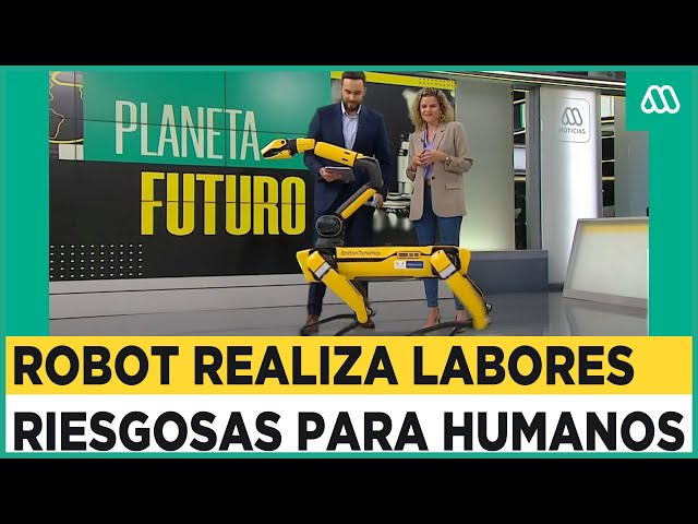 Spot: Este es el robot que ya remplaza a los humanos en riesgosas labores