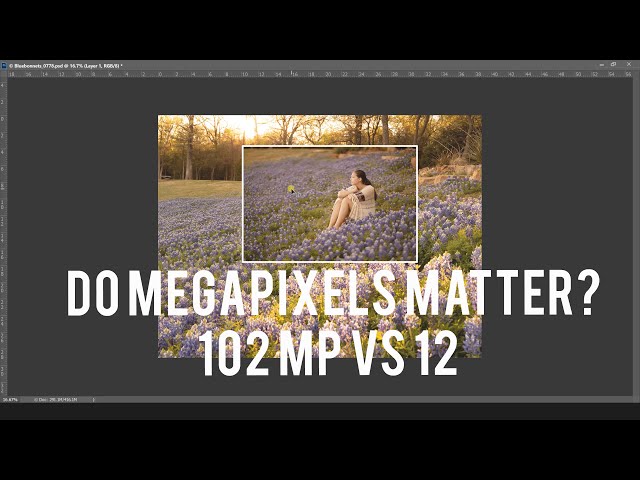 102 megapixels vs 12 : Do megapixels matter?