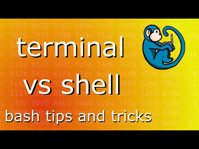 terminal vs shell vs console - why this is important for linux forensics