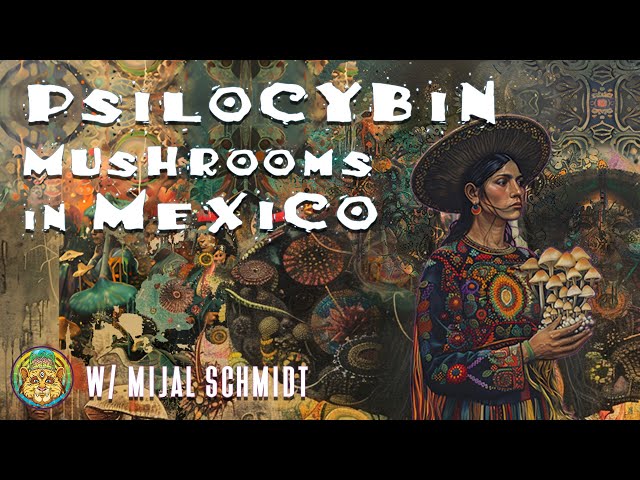 The Legal and Cultural Landscape of Psilocybin Mushrooms in Mexico | Mijal Schmidt ~ ATTMind 187