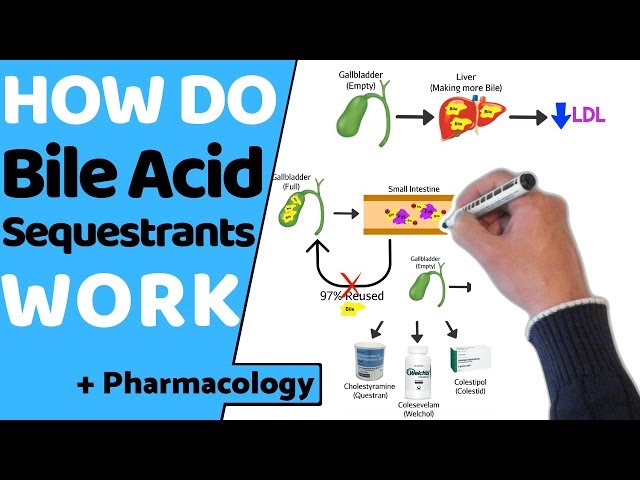 How do Bile Acid Sequestrants Work? (+ Pharmacology)