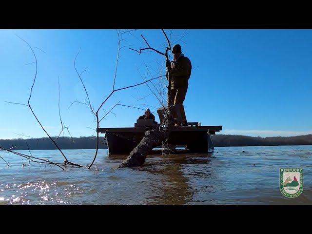 Using Chainsaws for Fish Habitat at Lake Barkley