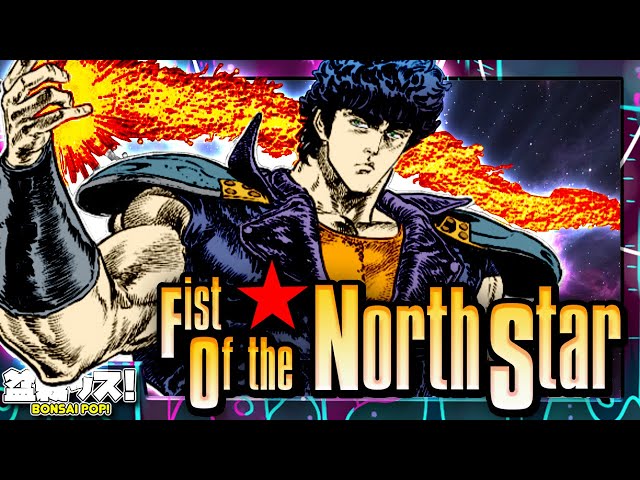 The INSANE Story Of Fist Of The North Star