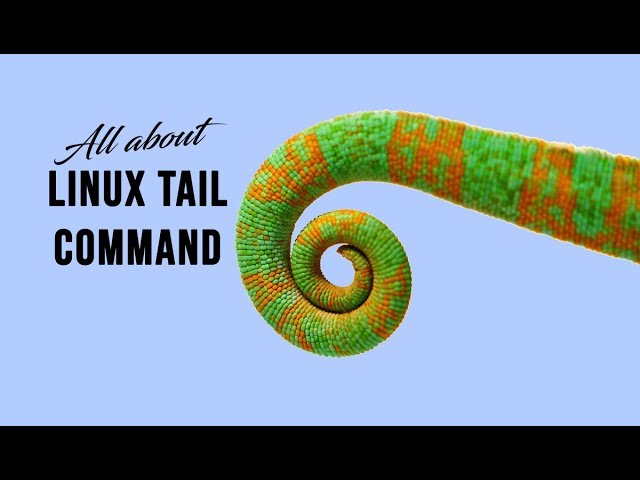 How to Tail a Rotating Log File in Linux