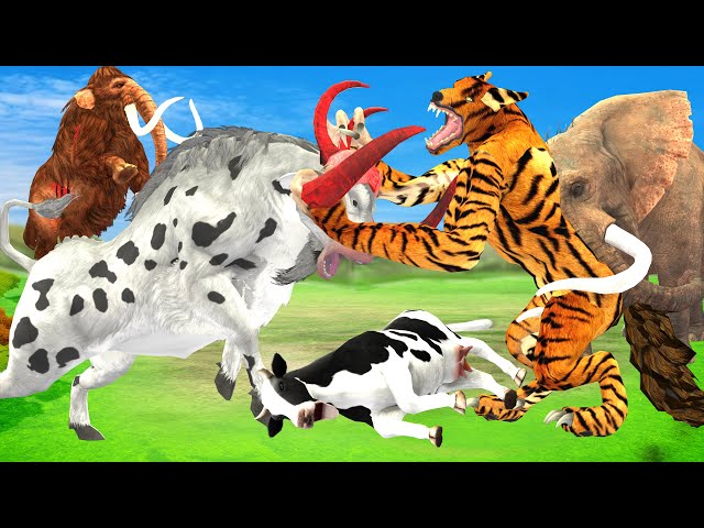 Giant Tiger wolf Attacks Cow Cartoon Saved By Giant Buffalo, Woolly Mammoth Elephant