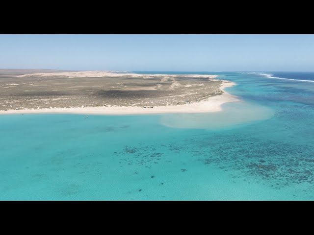 Ningaloo Reef | Western Australia