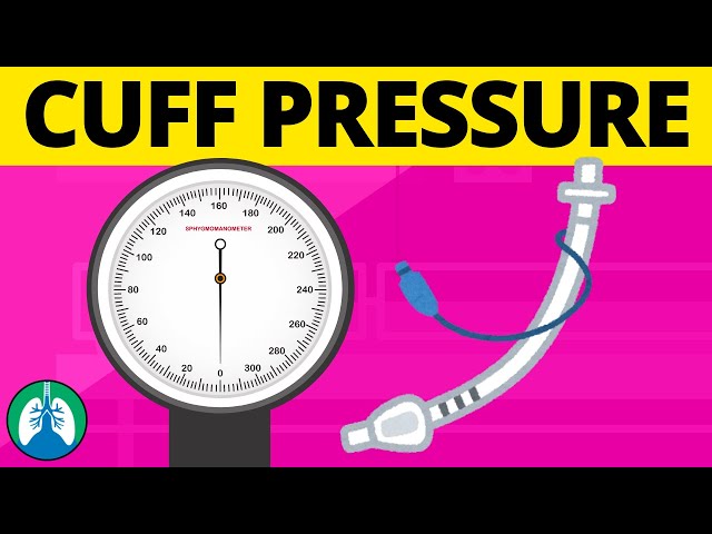 Endotracheal Tube Cuff Pressure? (TMC Practice Question) | Respiratory Therapy Zone