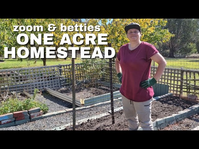 Aussie 1 Acre Homestead - Planting our first garden!