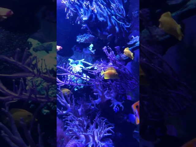 Trip to Mystic Aquarium Part 2