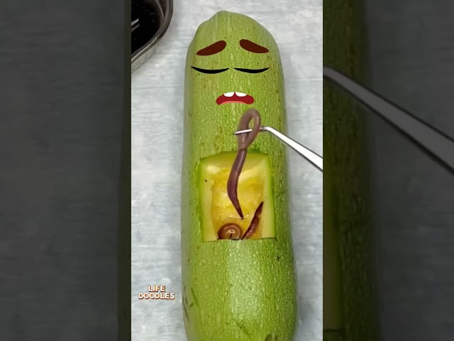 Life Doodles | Zucchini with worms, fruitsurgery 😂 #lifedoodles #fruitsurgery #doodle #shortvideo