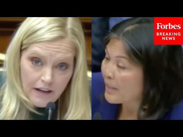 ‘That Doesn’t Seem Very American To Me’: Erin Houchin Confronts Acting Labor Secretary Julie Su