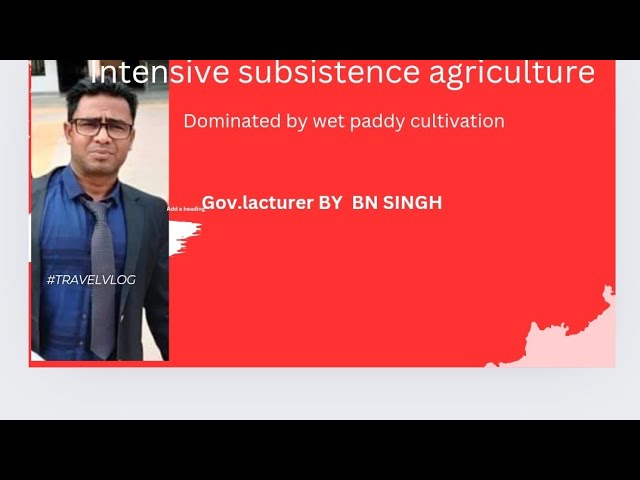 intensive subsistence agriculture dominated by wet paddy cultivation