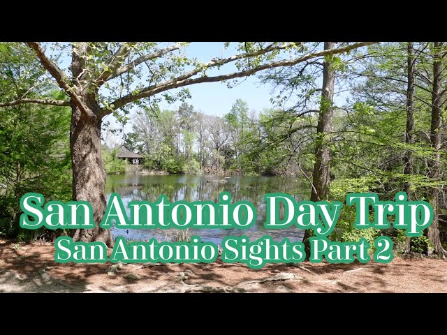 San Antonio Sights Part 2 | Botanical Gardens and Art Museum | MsGoldgirl
