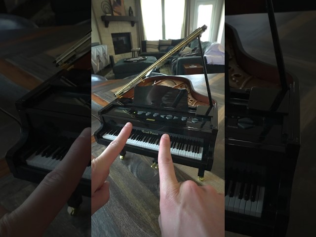 Playing Chopsticks on the smallest piano!
