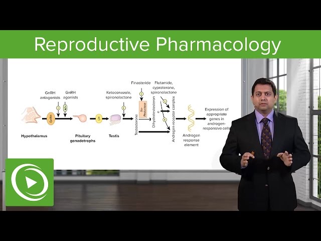 Reproductive Pharmacology: Overview – Pharmacology | Lecturio