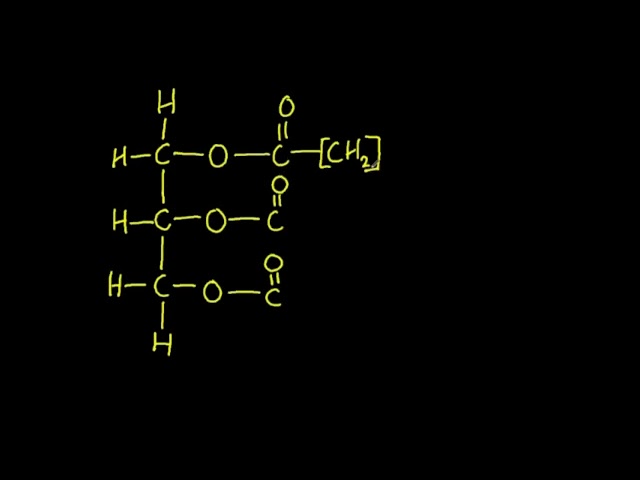 B1.1.9 Formation of triglycerides by condensation reactions