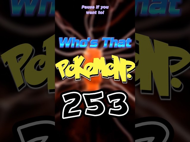 episode 253 who's that Pokémon!? What are those bracelets called bangles ... bengals
