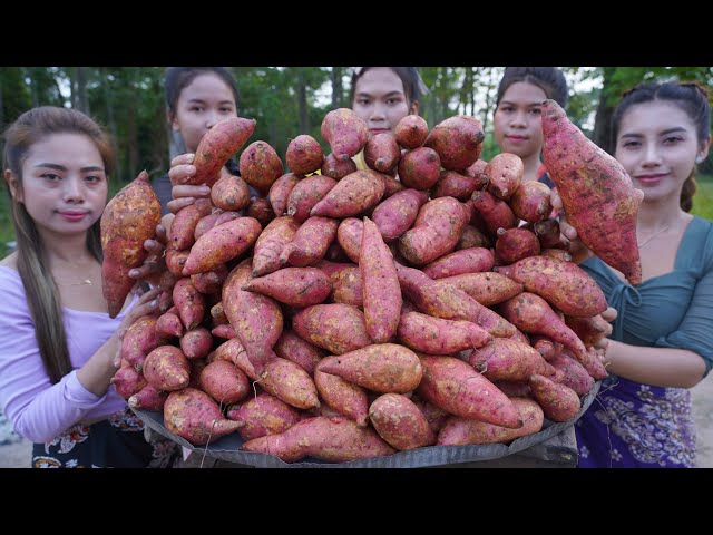 Fresh sweet potato cook recipe and eat with my family - Amazing video