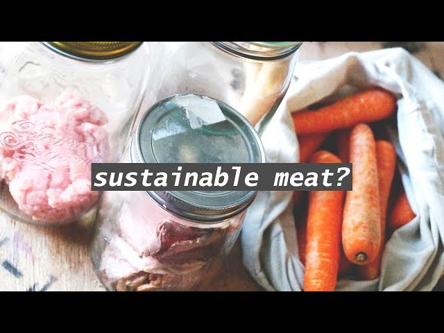 ZERO WASTE & MEAT //  animal products in glass