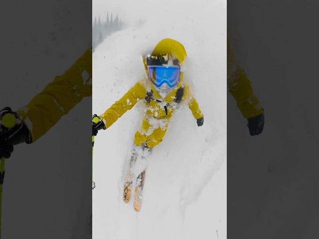 some good ol fashion UTAH blower POW!! ❄️ #ski #skiing
