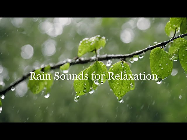 Ambient Sounds for Relaxation | Calming Music and Rain Sounds for Mindfulness and Serenity 🌧️🌊