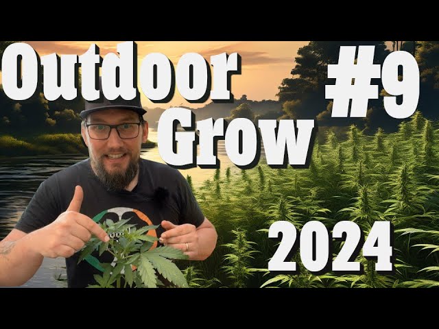 Outdoor Grow 2024: Pflanzenupdate, Malör und Hasch-Gedanken | EP 9