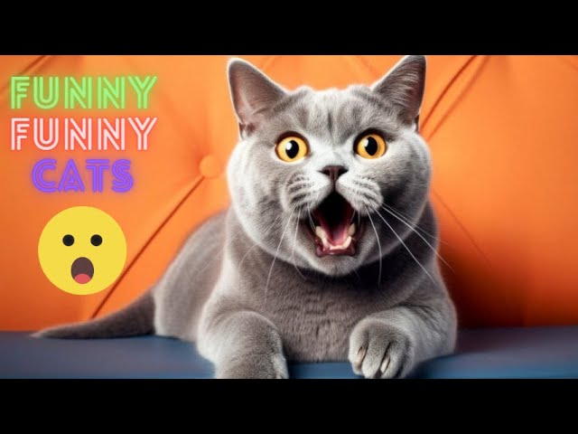 Funny Cat Videos Compilation😹Funny Cat Videos Try Not To Laugh😺 Funniest Cat Videos in The World #68