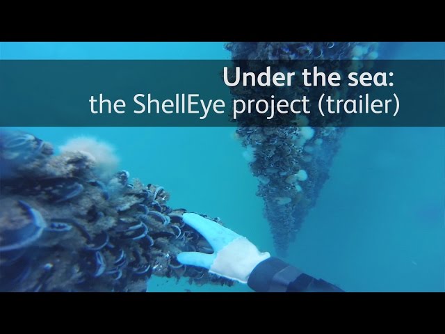 Under the sea: the ShellEye project (trailer)