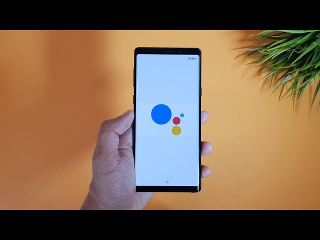 Your Google Assistant Just Got a Makeover