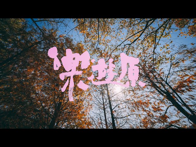 原子邦妮 Astro Bunny 【樂遊原】官方歌詞 MV (Lyric)