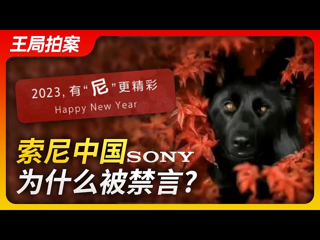 Wang sir’s news talk‖Why Sony China was banned？