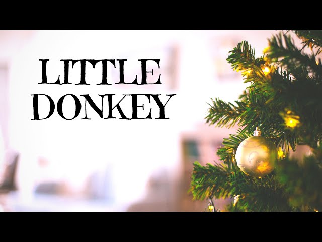 Learn LITTLE DONKEY (With Brazilian Backing Track) Christmas Song For Beginners On ANY Sax #47