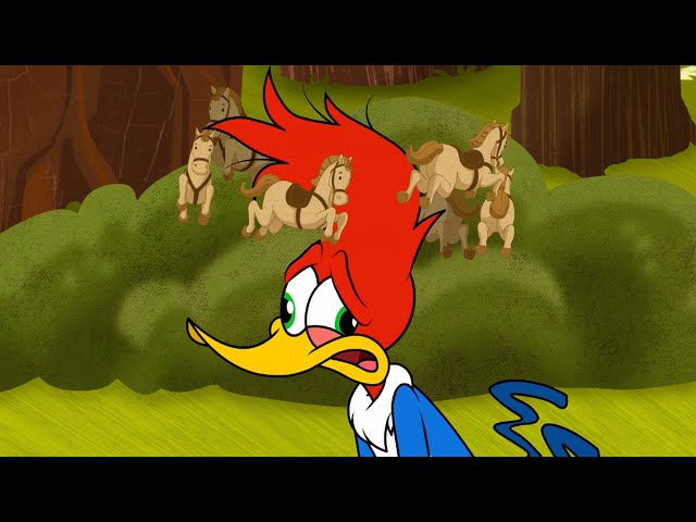 Woody and Buzz's rivalry | Woody Woodpecker