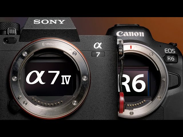 SONY A7IV vs CANON R6 | The Best ~$2500 Camera for Weddings and Portraits?