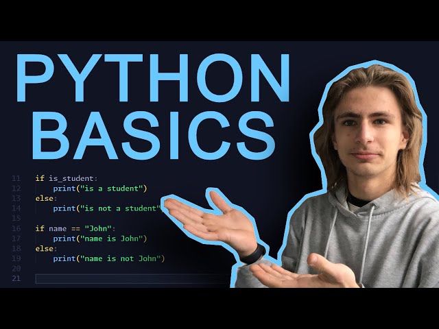Python for Beginners (The Basics)
