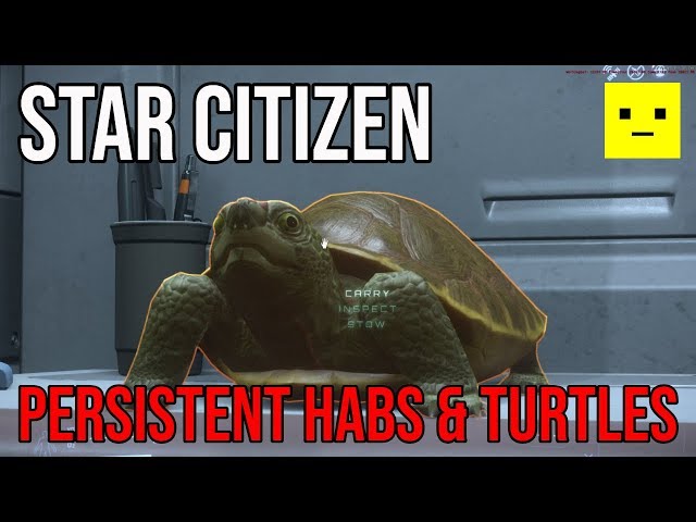 Star Citizen 3.5 | We Now Have Persistent Habs & Turtles