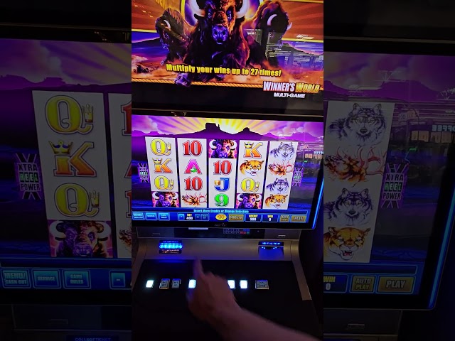 How Vegas Locals Gamble