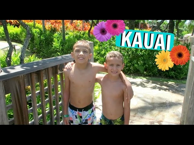 Hawaii Trip VLOG DAY 1 Part 2 Swimming in Lagoon, Black Swans and Ice Cream