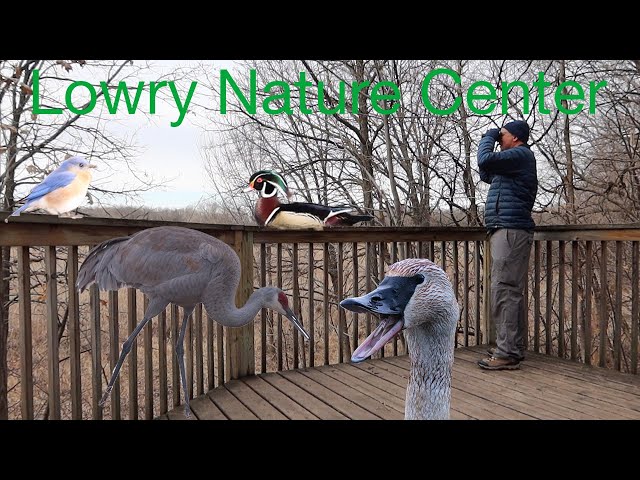 Lowry Nature Center Adventure - Lots of Birds, Interesting Trails and an Unexpected Fact about Bees!