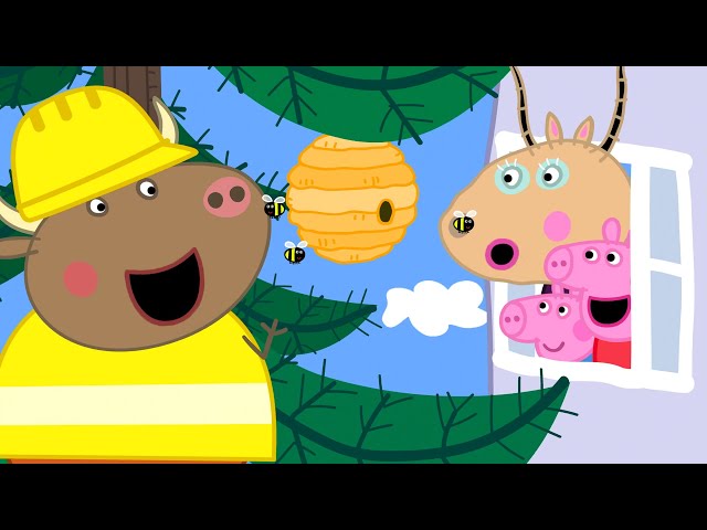 Peppa and Friends Bee Tree 🐝 🐽 Peppa Pig Full Episodes