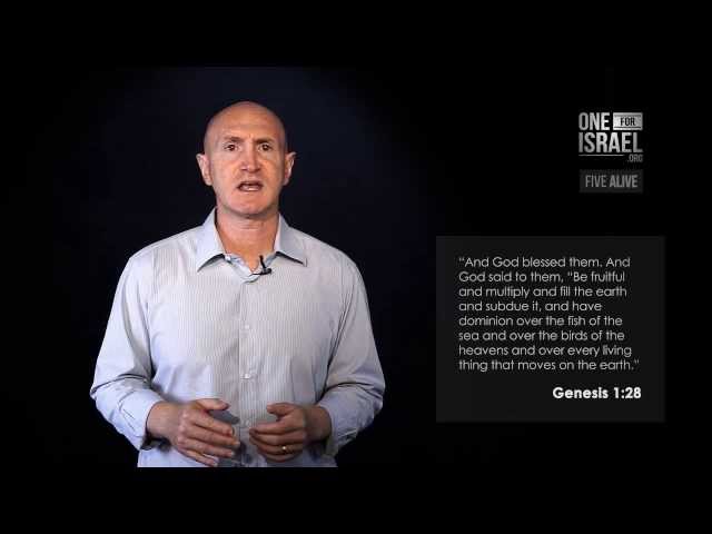 Does Genesis 1-3 point to the Messianic Hope?
