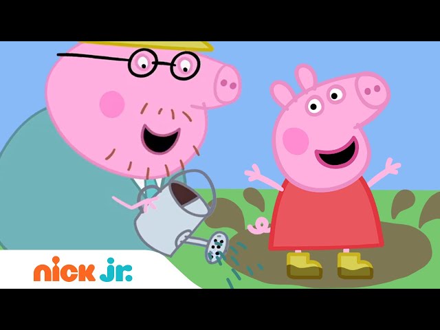 Peppa Pig & Daddy Pig Splash in Muddy Puddles! | Nick Jr.