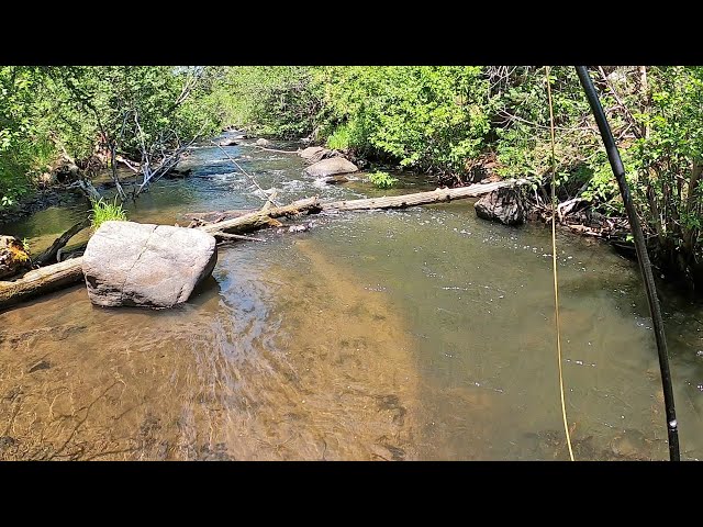 Part 1 - 2 month camping road trip thru 4 states starts on this amazing stream!
