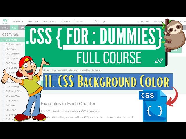 CSS For Dummies: 11  Background Property in CSS | CSS Background color property