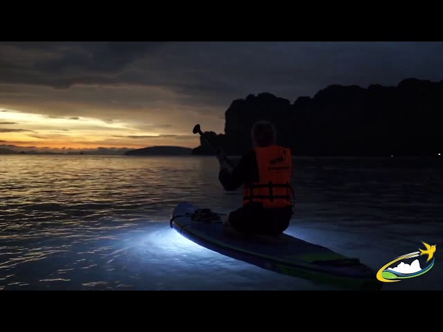 Bioluminescent Plankton Thailand, Glowing Plankton, Stand Up Paddleboard, Bioluminescent Plankton