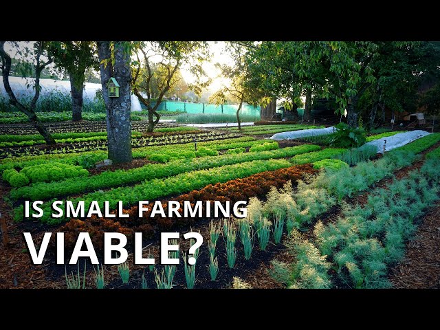 Is Market Gardening Profitable? Making a Living On a Small Farm